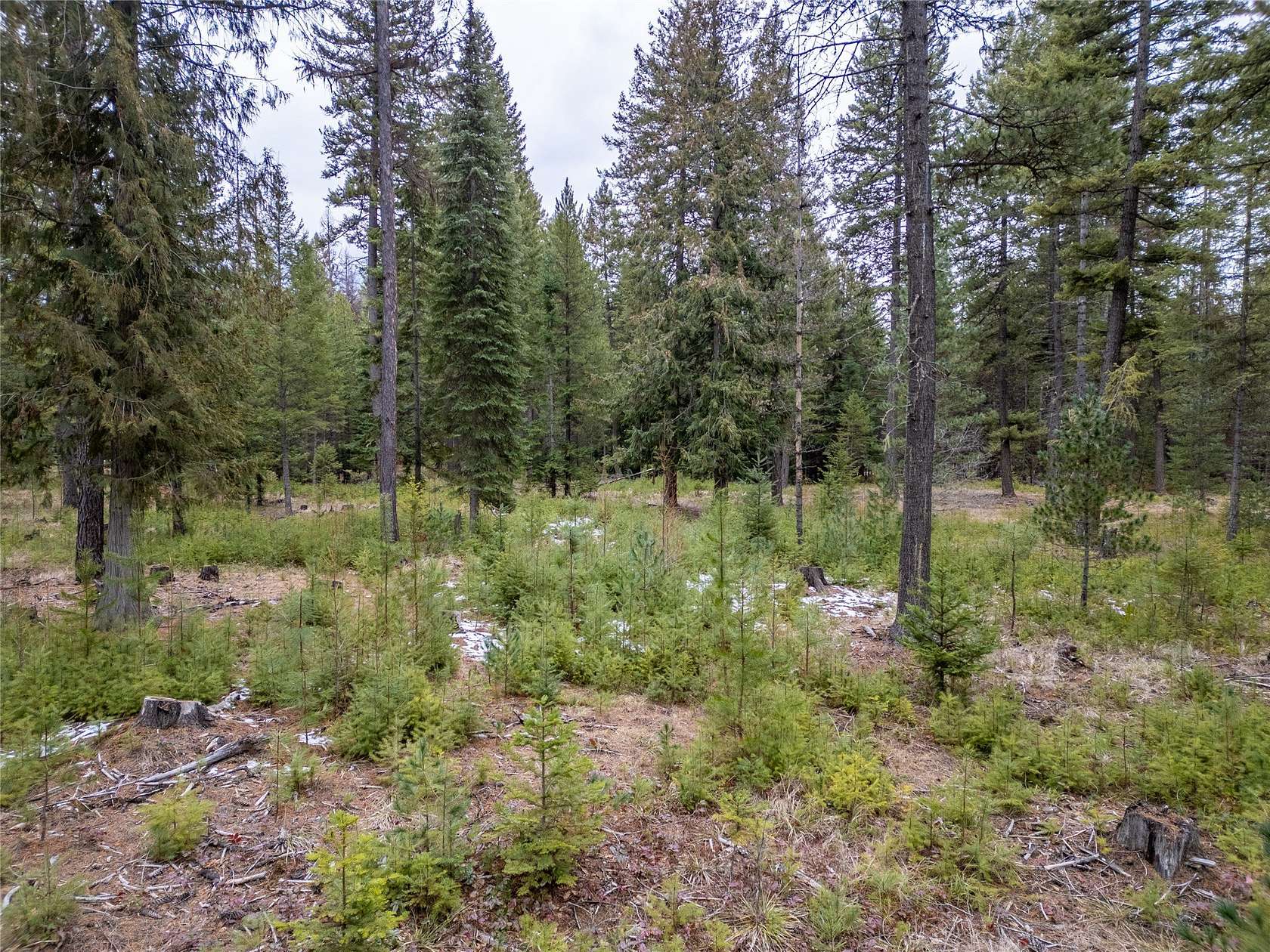 4.78 Acres of Residential Land for Sale in Troy, Montana