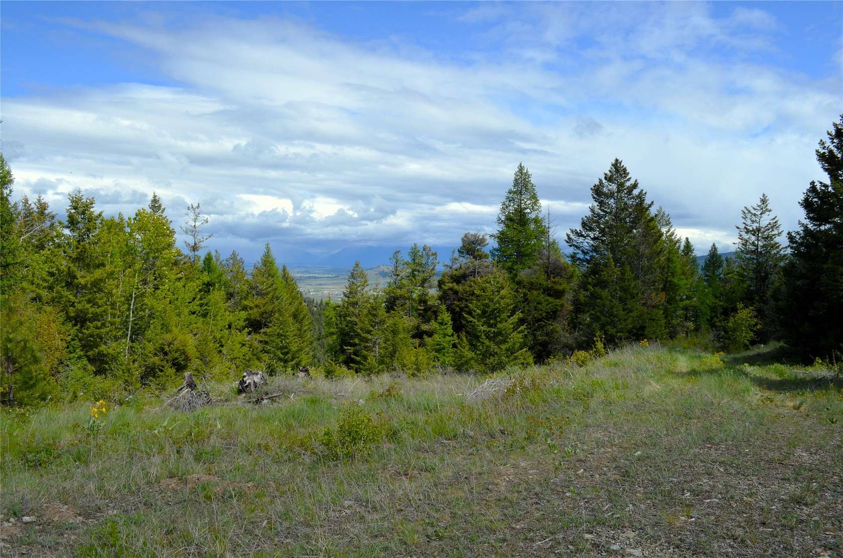 118 Acres of Recreational Land for Sale in Kila, Montana