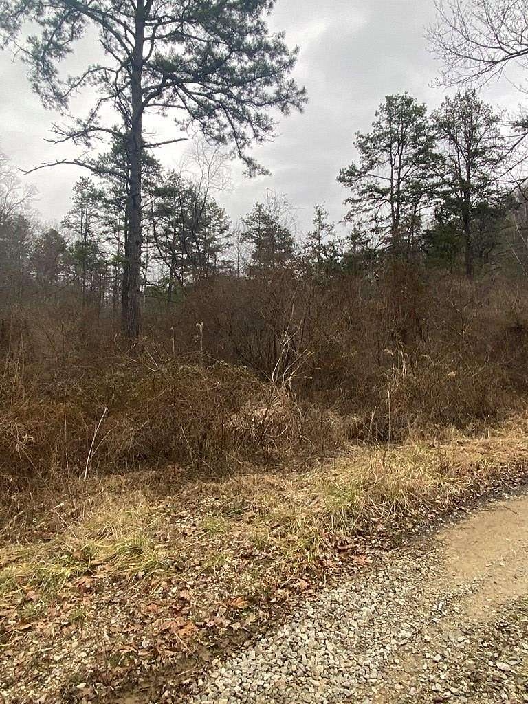 31.4 Acres of Recreational & Residential Land for Sale in Salyersville, Kentucky