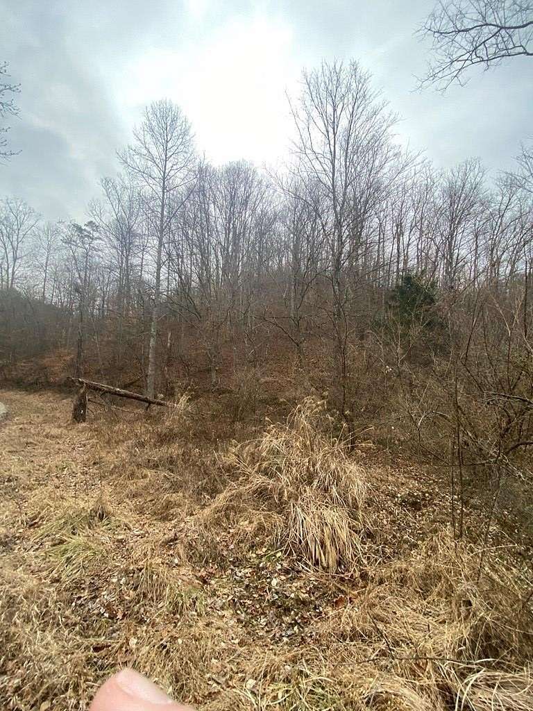31.4 Acres of Recreational & Residential Land for Sale in Salyersville, Kentucky