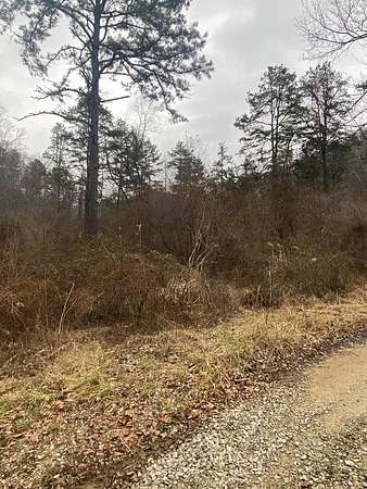 31.4 Acres of Recreational & Residential Land for Sale in Salyersville, Kentucky