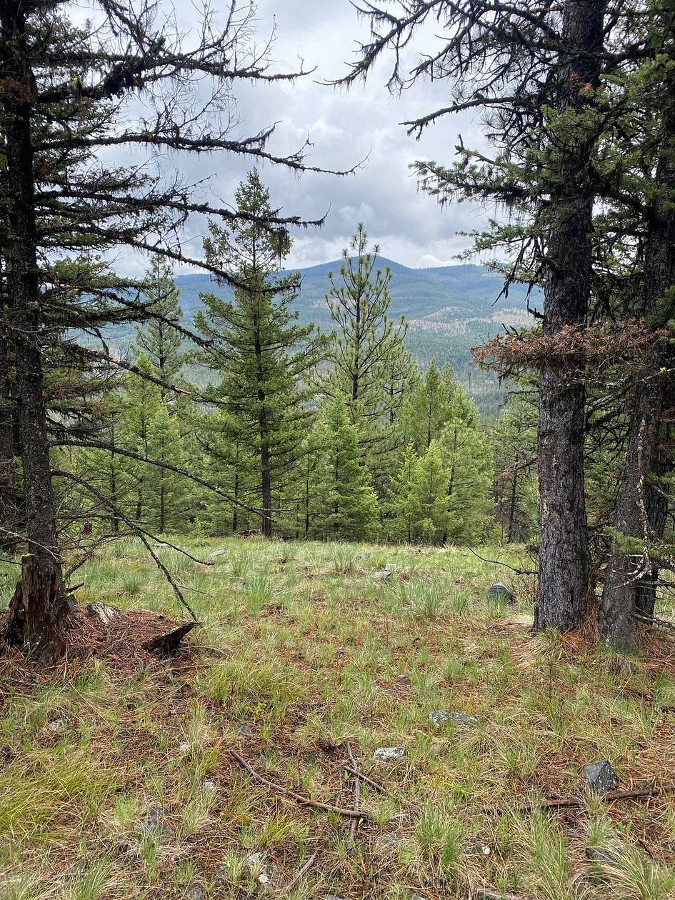 20.9 Acres of Land for Sale in Kila, Montana