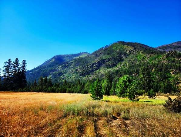 5.23 Acres of Residential Land for Sale in Plains, Montana