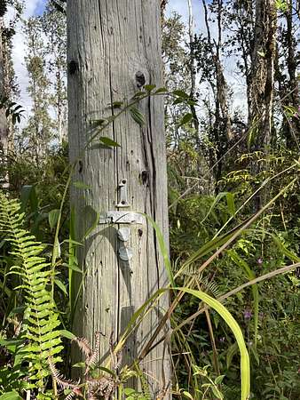 0.21 Acres of Residential Land for Sale in Pahoa, Hawaii