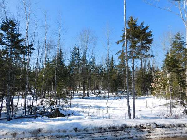 11.3 Acres of Recreational & Residential Land for Sale in Greenbush, Maine