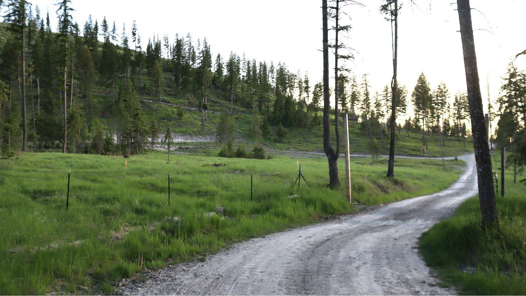 7.5 Acres of Residential Land for Sale in Kila, Montana