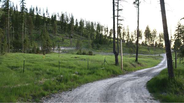 7.5 Acres of Residential Land for Sale in Kila, Montana