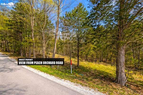 20 Acres of Land for Sale in Lewisburg, Kentucky