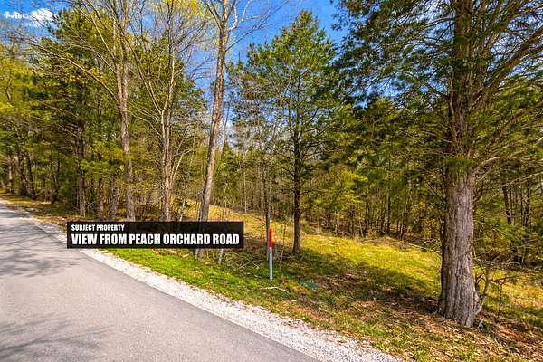 20 Acres of Land for Sale in Lewisburg, Kentucky