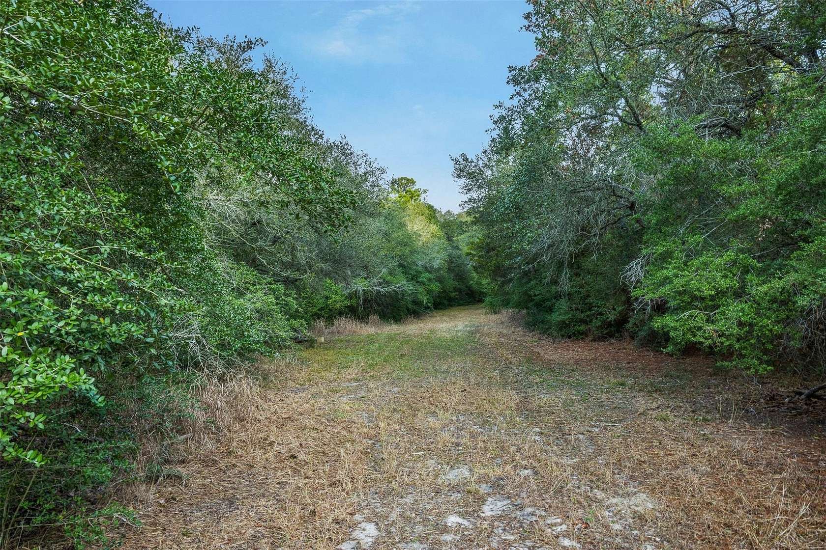 22.5 Acres of Recreational & Residential Land for Sale in La Grange, Texas