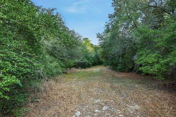 22.5 Acres of Recreational & Residential Land for Sale in La Grange, Texas