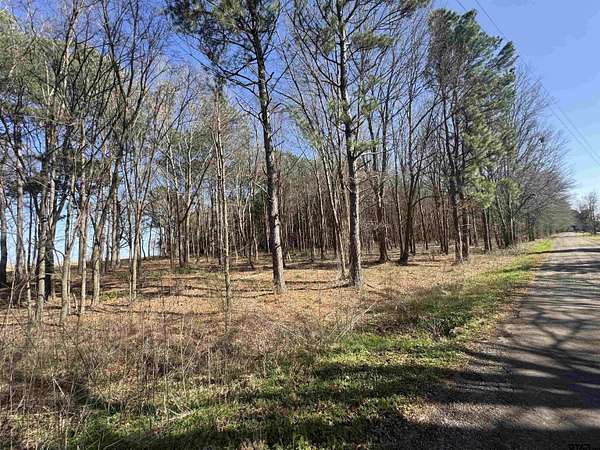 4.16 Acres of Residential Land for Sale in Pittsburg, Texas