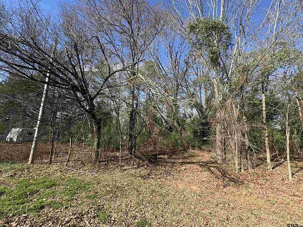 0.06 Acres of Residential Land for Sale in Pittsburg, Texas