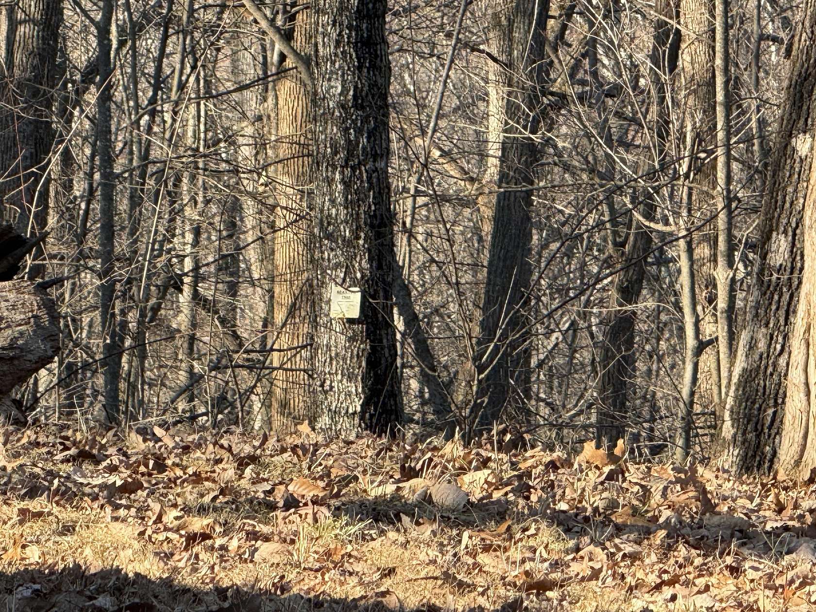 45 Acres of Land for Sale in McKee, Kentucky