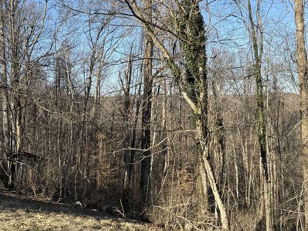 45 Acres of Land for Sale in McKee, Kentucky