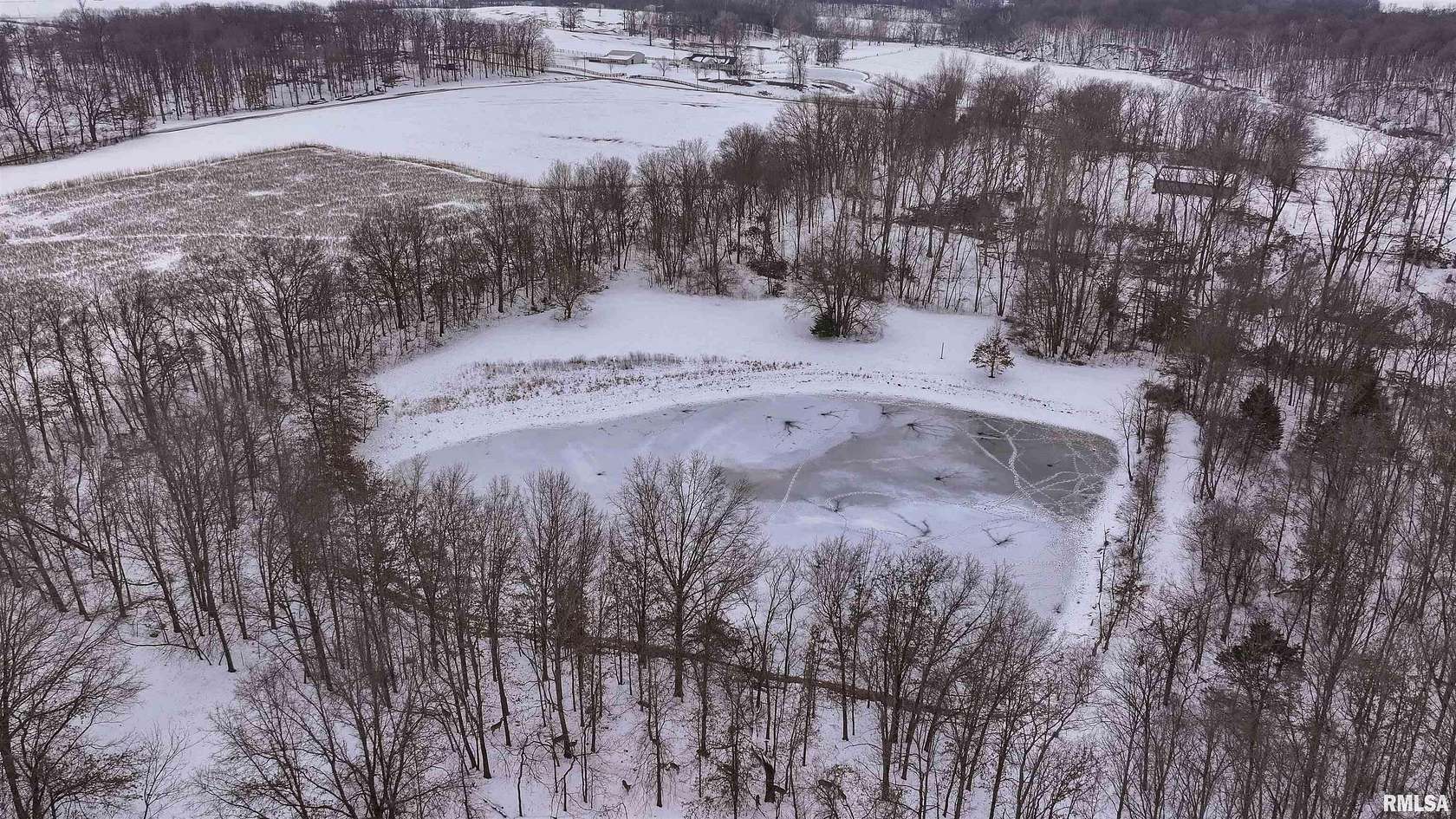 40 Acres of Land for Sale in Brownstown, Illinois