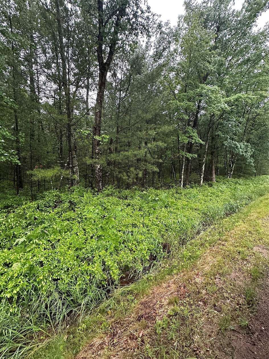 1.55 Acres of Residential Land for Sale in Hatfield, Wisconsin