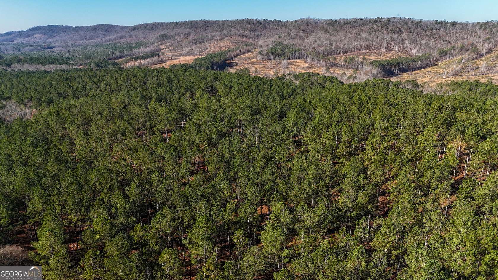 32 Acres of Recreational & Residential Land for Sale in Lyerly, Georgia