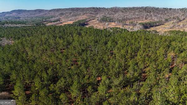 32 Acres of Recreational & Residential Land for Sale in Lyerly, Georgia
