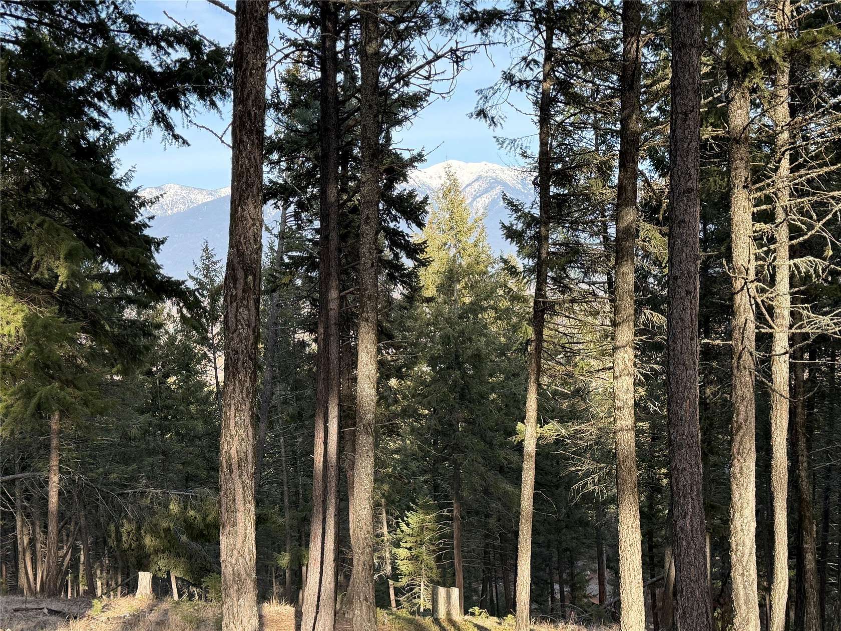 2 Acres of Residential Land for Sale in Eureka, Montana