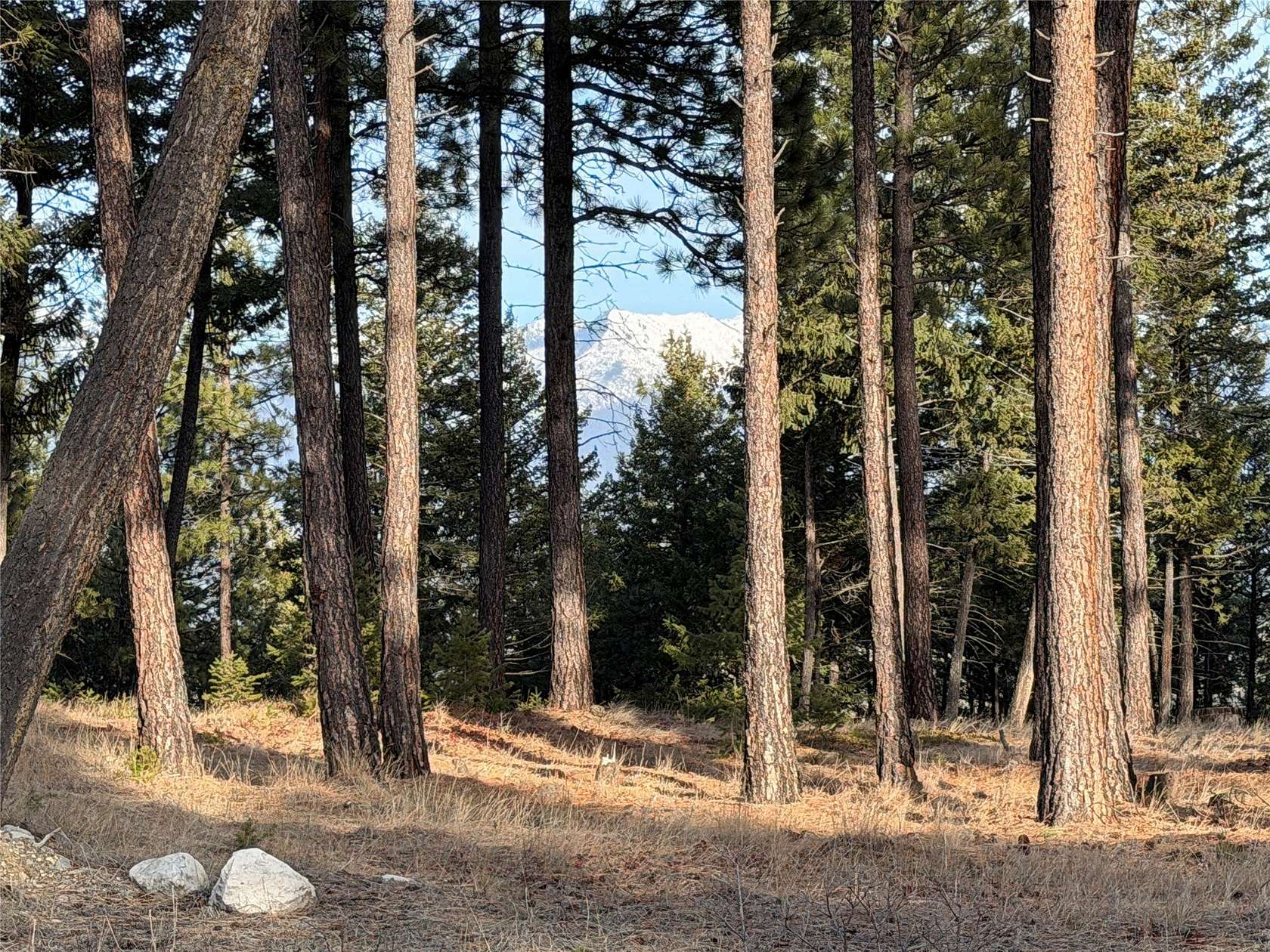 2 Acres of Residential Land for Sale in Eureka, Montana