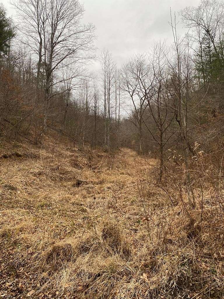 238 Acres of Recreational Land for Sale in Salyersville, Kentucky