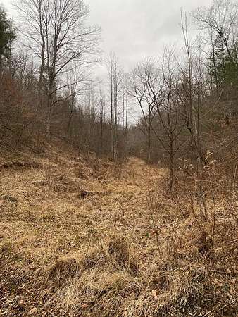 238 Acres of Recreational & Residential Land for Sale in Salyersville, Kentucky