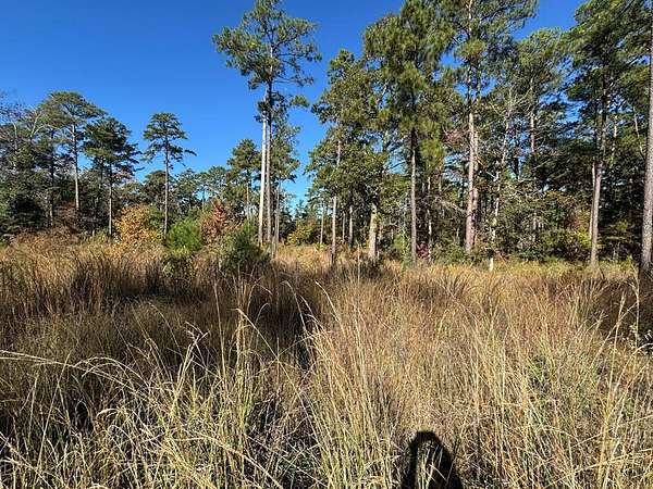 1 Acre of Residential Land for Sale in Brookeland, Texas