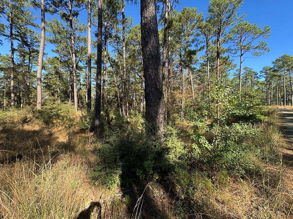 1 Acre of Residential Land for Sale in Brookeland, Texas