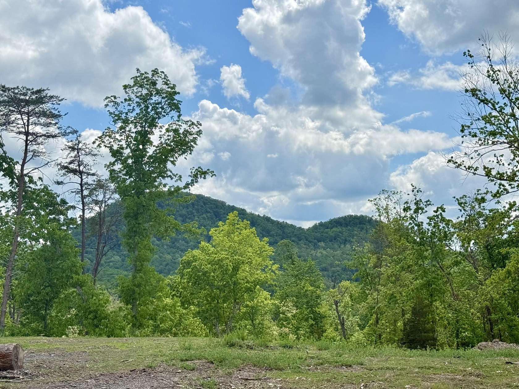 1.5 Acres of Residential Land for Sale in Irvine, Kentucky