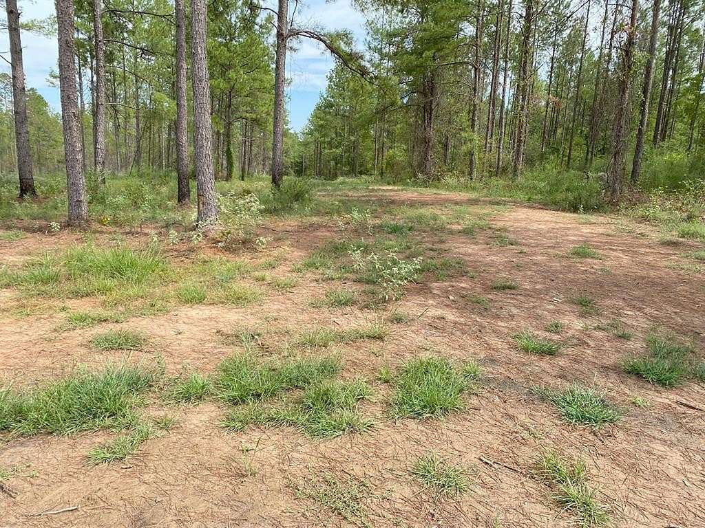 2.13 Acres of Residential Land for Sale in Huntington, Texas