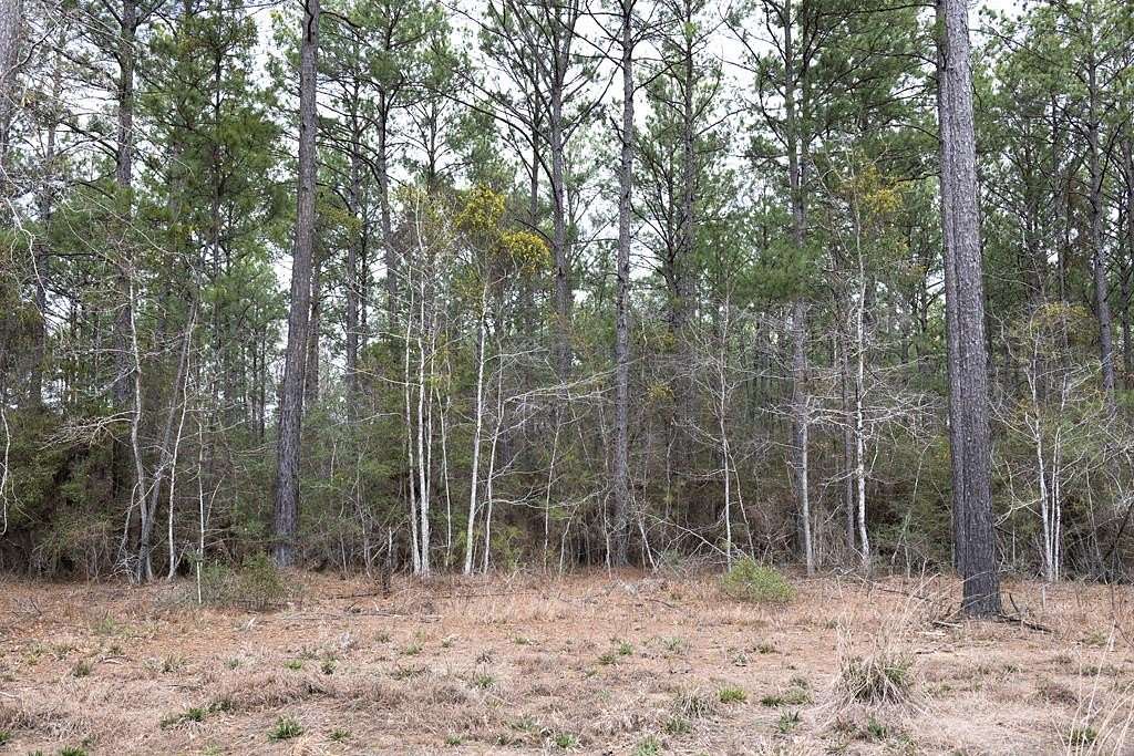 15.5 Acres of Land for Sale in Broaddus, Texas