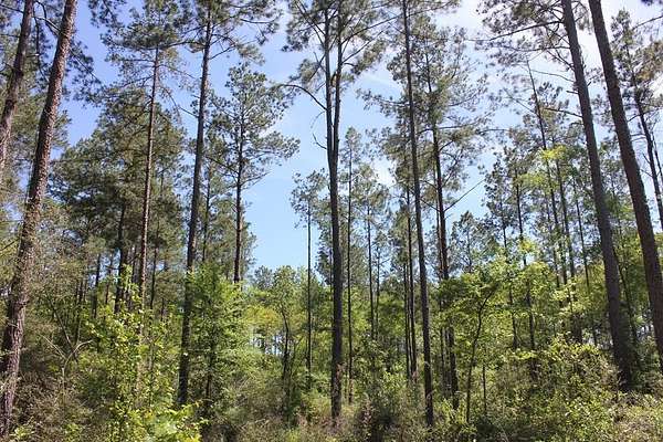 6.74 Acres of Land for Sale in Lufkin, Texas