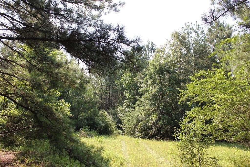 45 Acres of Land for Sale in Lufkin, Texas