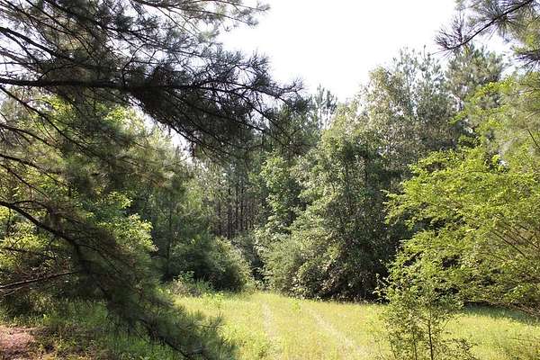 45 Acres of Land for Sale in Lufkin, Texas