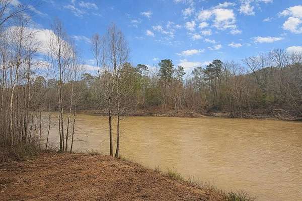 0.5 Acres of Residential Land for Sale in Colmesneil, Texas