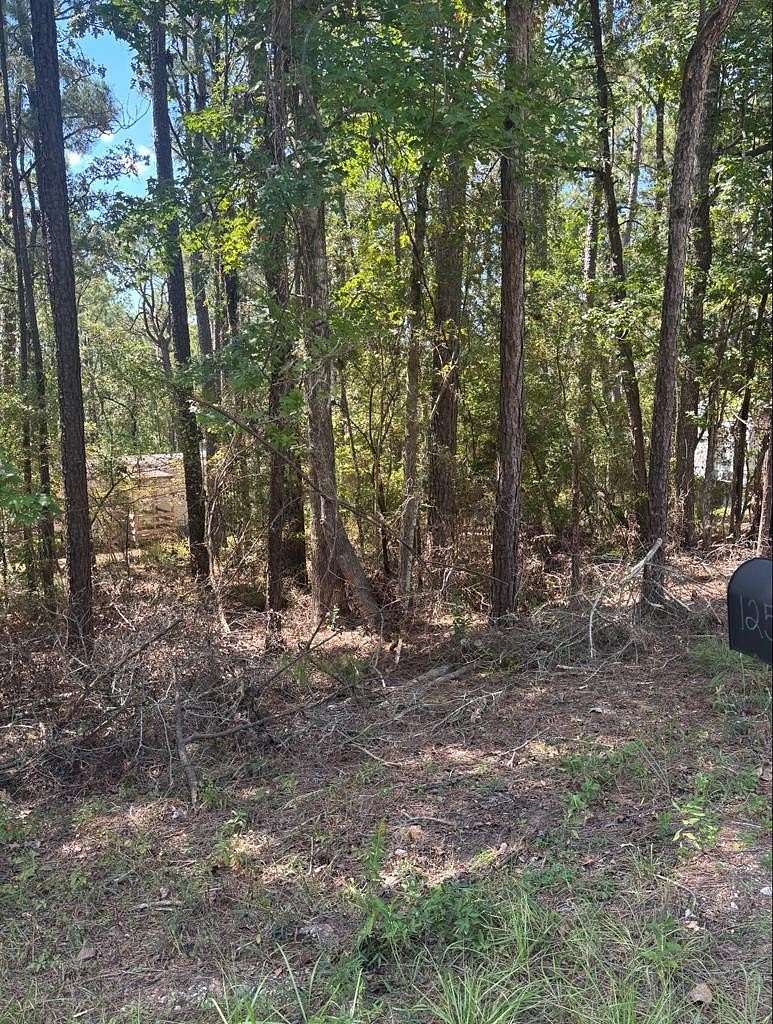 0.16 Acres of Land for Sale in Brookeland, Texas