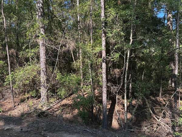0.21 Acres of Residential Land for Sale in Brookeland, Texas