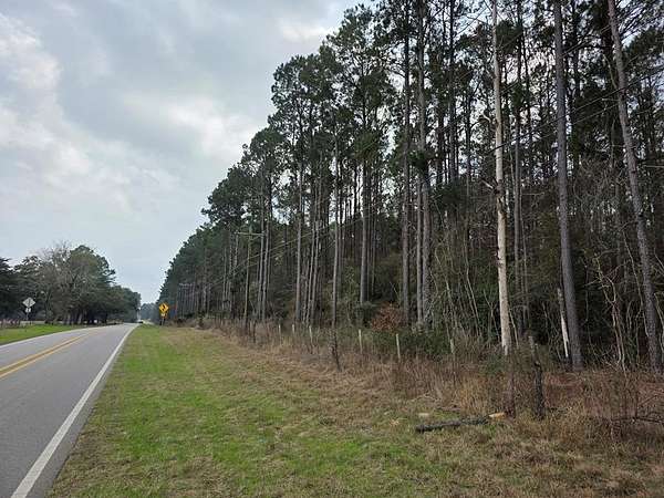 5 Acres of Land for Sale in Kirbyville, Texas