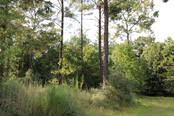 3.6 Acres of Land for Sale in Brookeland, Texas