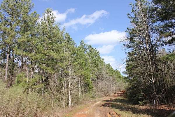 102 Acres of Land for Sale in Garrison, Texas