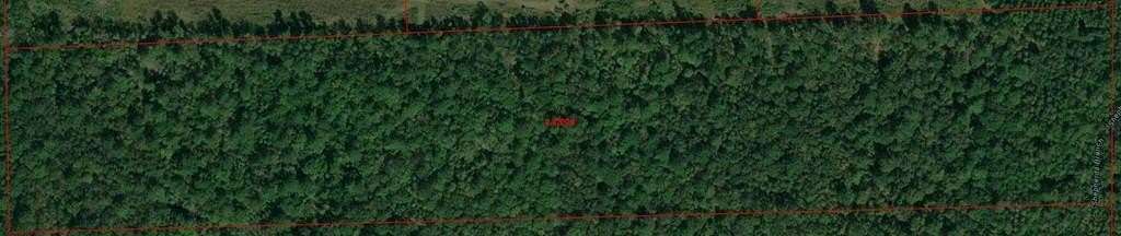 24.4 Acres of Land for Sale in Buna, Texas