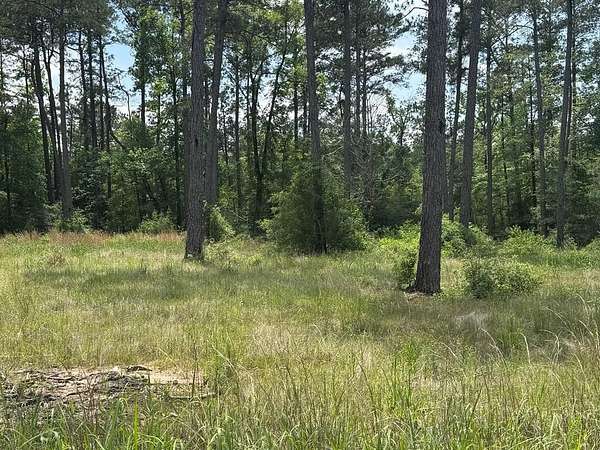 1 Acre of Residential Land for Sale in Brookeland, Texas
