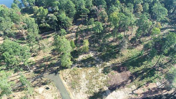 4.16 Acres of Residential Land for Sale in Milam, Texas