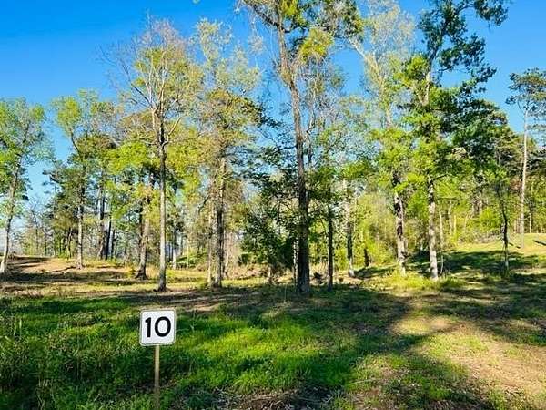 2.53 Acres of Residential Land for Sale in Milam, Texas