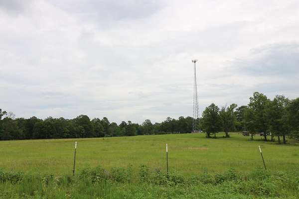 40 Acres of Land for Sale in Newton, Texas