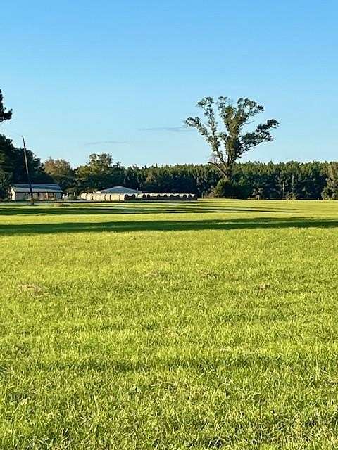 45.4 Acres of Recreational & Residential Land for Sale in Newton, Texas