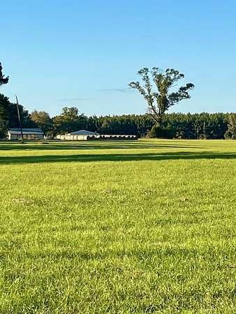 45.4 Acres of Recreational & Residential Land for Sale in Newton, Texas