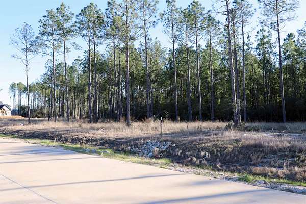 0.73 Acres of Residential Land for Sale in Brookeland, Texas