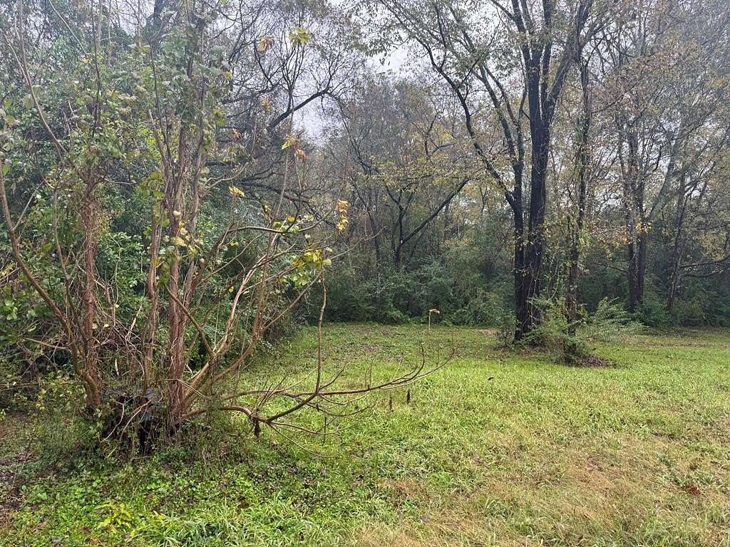 0.2 Acres of Residential Land for Sale in Lufkin, Texas